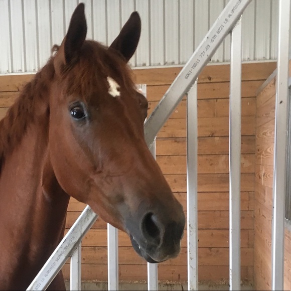 Meet your Posher, Veann - Picture 1 of 1